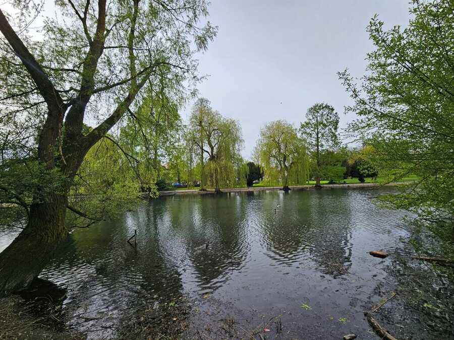 Property photo 5