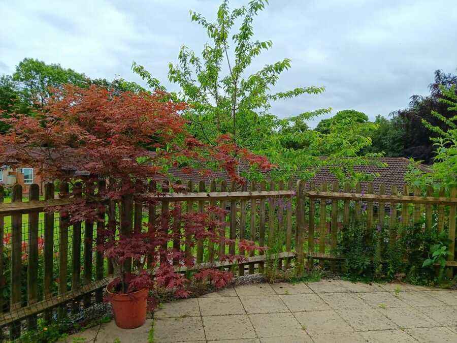 Property photo 7